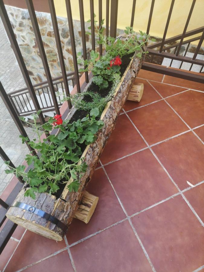 Alojamiento Rural Los Gancheros Tragacete Bagian luar foto
