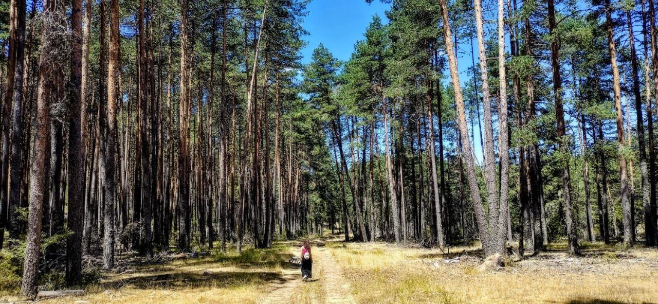 Alojamiento Rural Los Gancheros Tragacete Bagian luar foto
