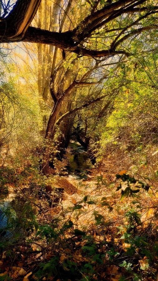 Alojamiento Rural Los Gancheros Tragacete Bagian luar foto