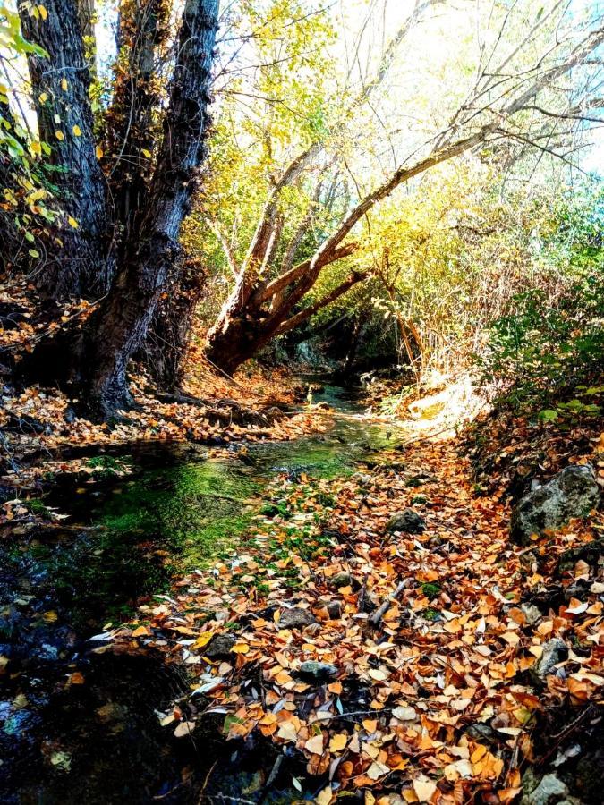 Alojamiento Rural Los Gancheros Tragacete Bagian luar foto
