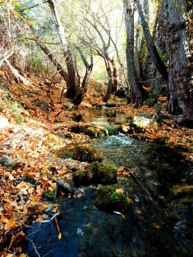 Alojamiento Rural Los Gancheros Tragacete Bagian luar foto