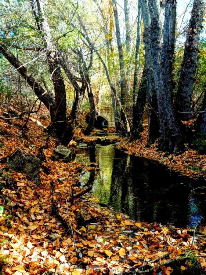 Alojamiento Rural Los Gancheros Tragacete Bagian luar foto