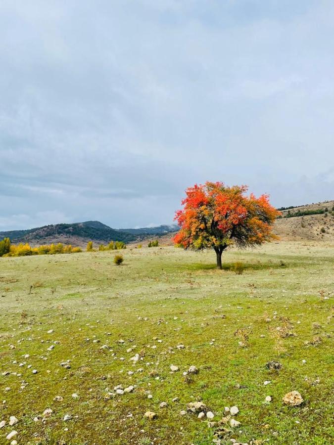 Alojamiento Rural Los Gancheros Tragacete Bagian luar foto
