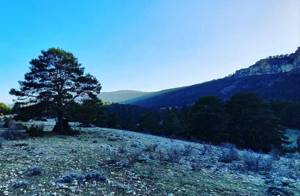 Alojamiento Rural Los Gancheros Tragacete Bagian luar foto