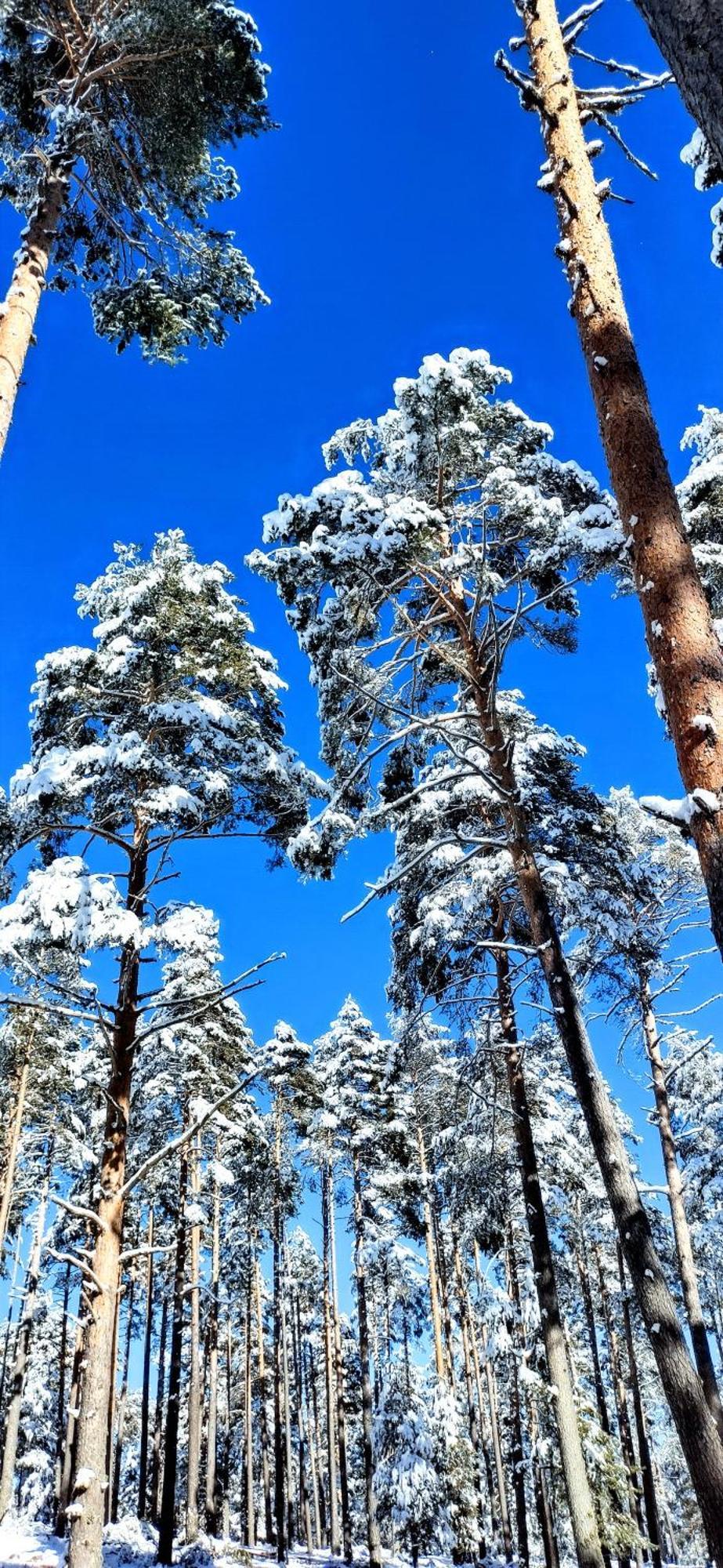 Alojamiento Rural Los Gancheros Tragacete Bagian luar foto