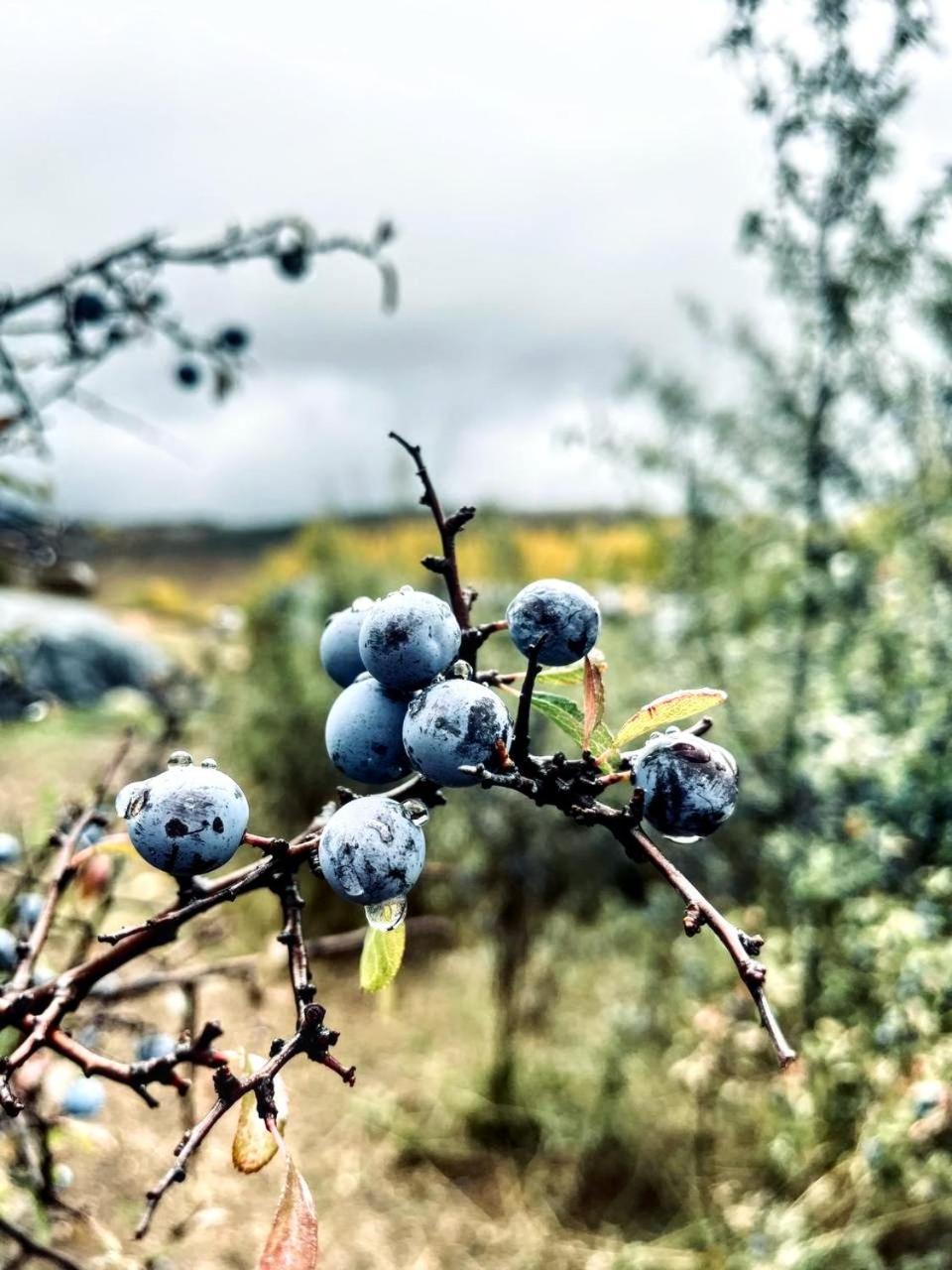 Alojamiento Rural Los Gancheros Tragacete Bagian luar foto
