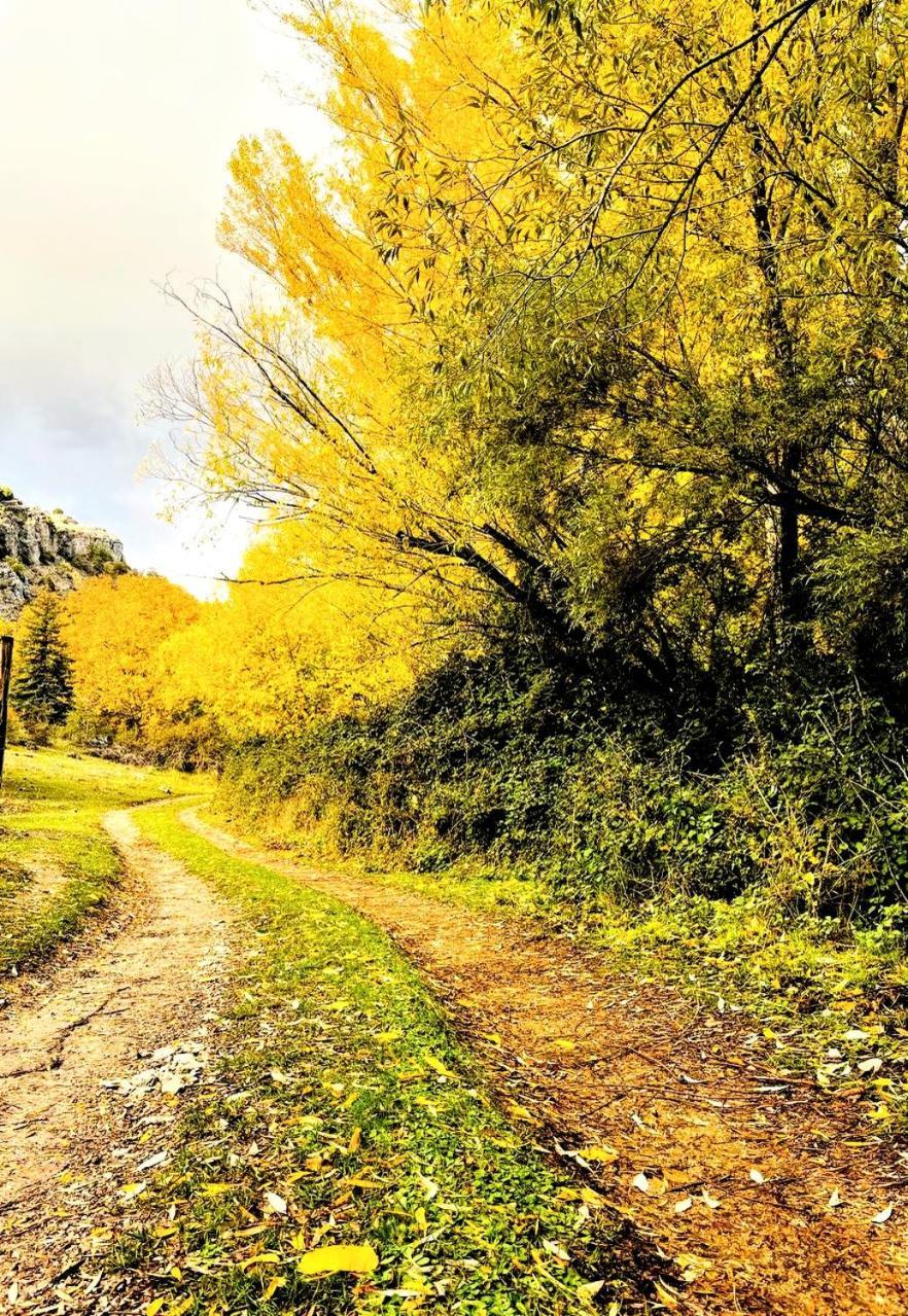 Alojamiento Rural Los Gancheros Tragacete Bagian luar foto