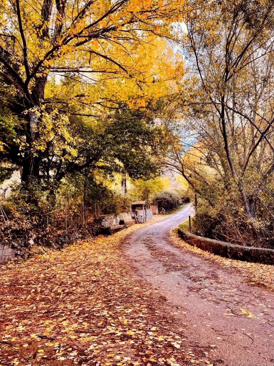 Alojamiento Rural Los Gancheros Tragacete Bagian luar foto